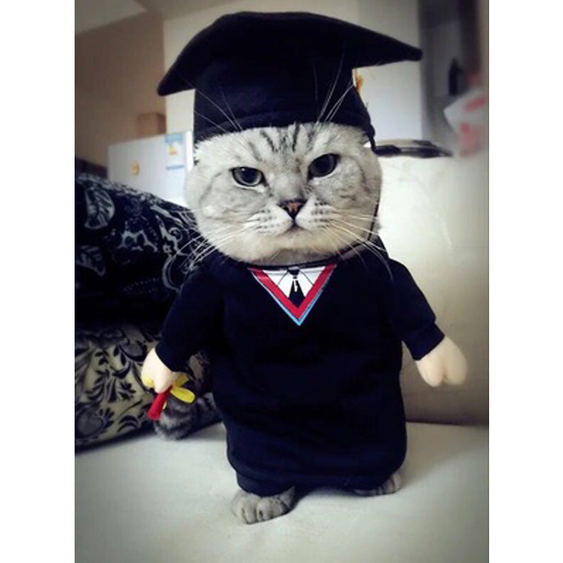 Hot Selling Pets Coolest Costumes-2