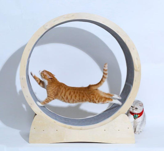Cat Fitness Fun Roller-0