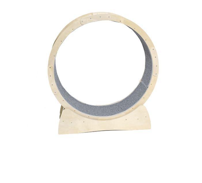 Cat Fitness Fun Roller-2