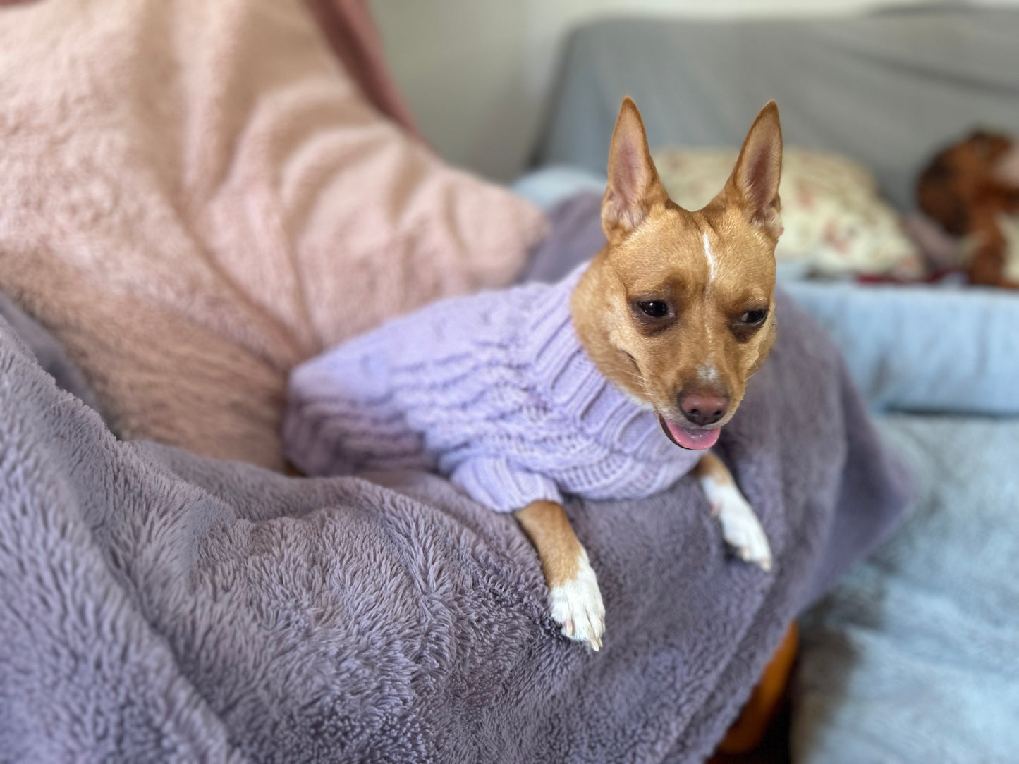 Marshmallow Baby Pink Pawfect Pup Jumper - Clearance Sale-4